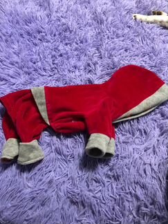 Одежда для собак