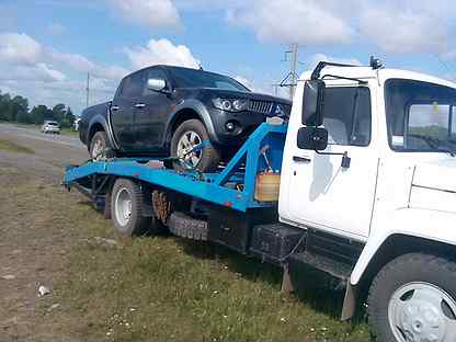 923 332. Солнечный лабрадор. 923 332. Собаки похожие на хаски с голубыми глазами. 923 332.