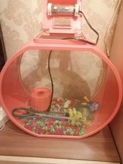 Аквариум дисней