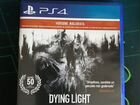 Dying light The Following