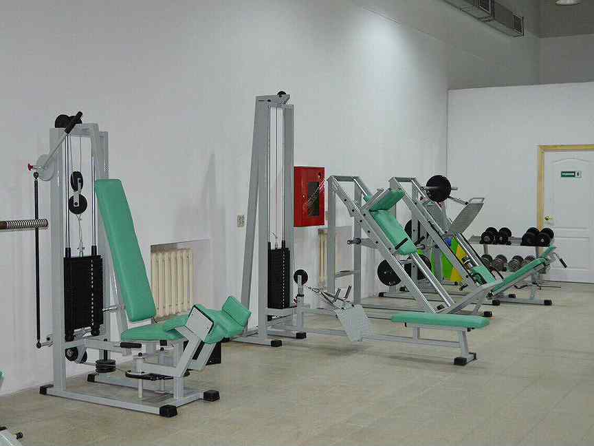 Vasil gym
