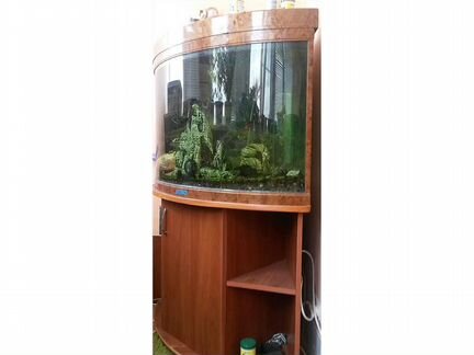 Продам аквариум Джебо- R470